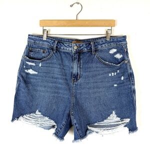 Judy Blue High Waist Frey Hem Rigid Magic Shorts